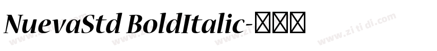 NuevaStd BoldItalic字体转换